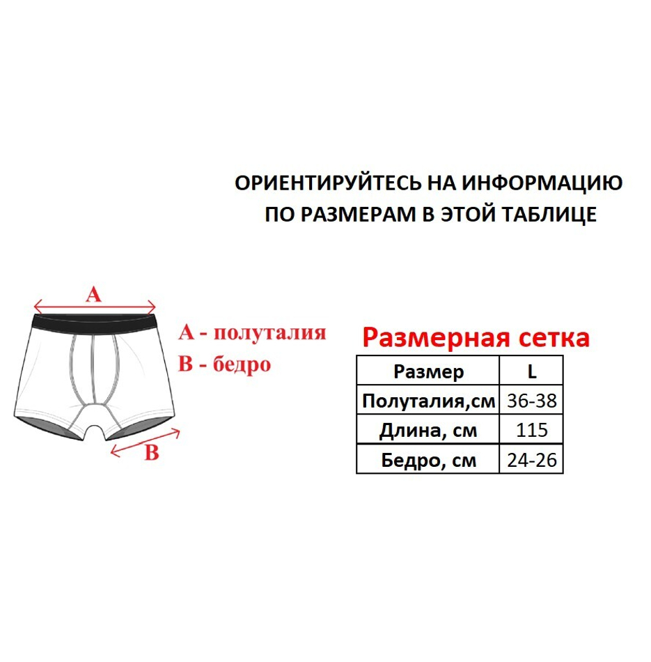 Трусы боксеры ED Hardy