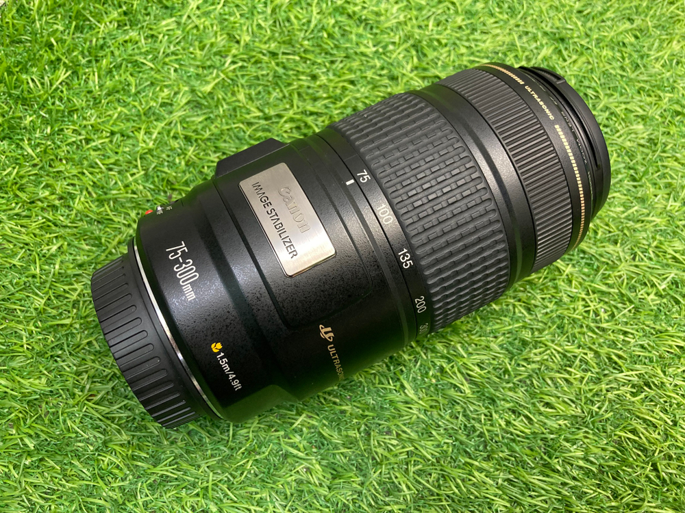 Canon EF 70-300mm 4.0-5.6 IS
