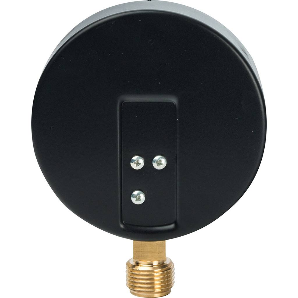 Манометр радиальный WATTS 16 бар 1/2" D 100 (мод.F+R 200 )