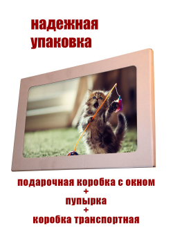 Фото картина на стекле , на стену , в подарок "Милые животные" 28х40 см. Декор для дома, подарок