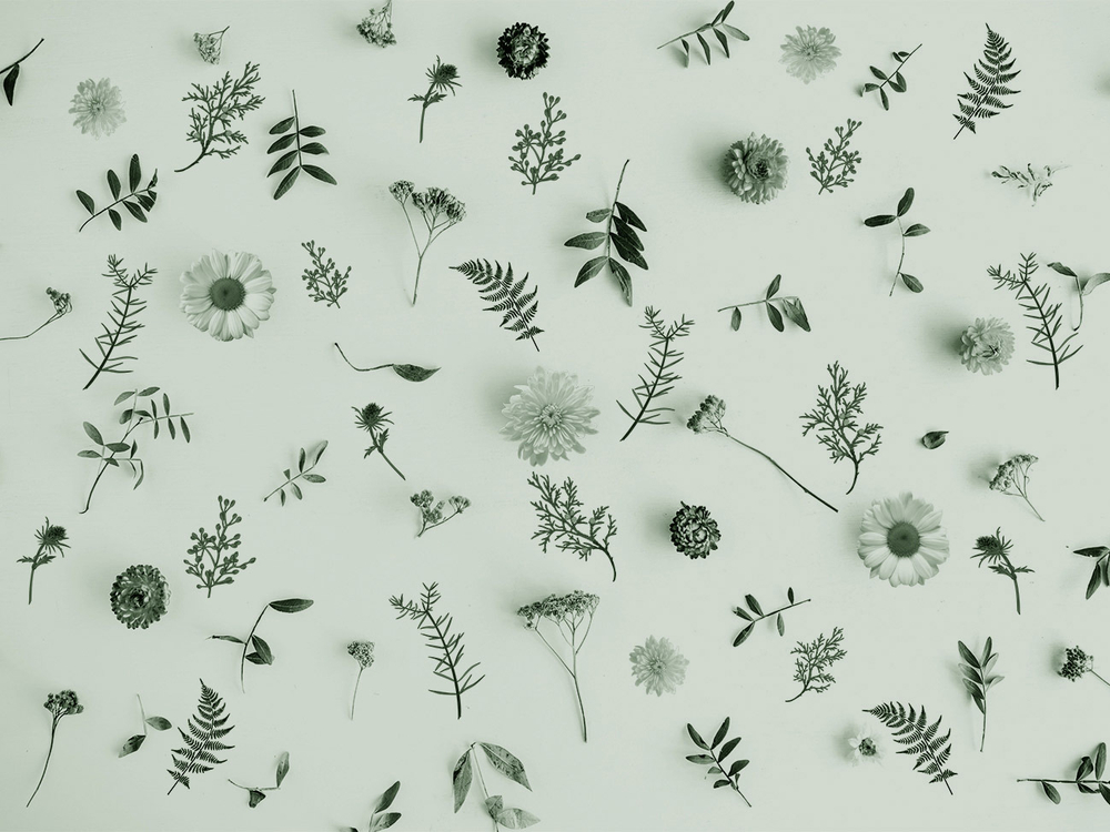 Дизайнерские обои Wall Street GreenDay-22