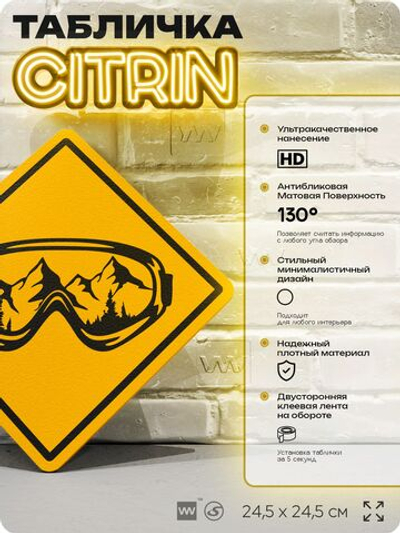 Табличка декоративная "Очки сноубордиста, лыжника" на дверь и стену, спортивная, информационная, декоративный знак, 24,5х24,5 см, пластиковая, Айдентика Технолоджи