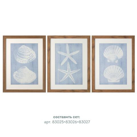 Картина 30х40см Tomas Stern 83027