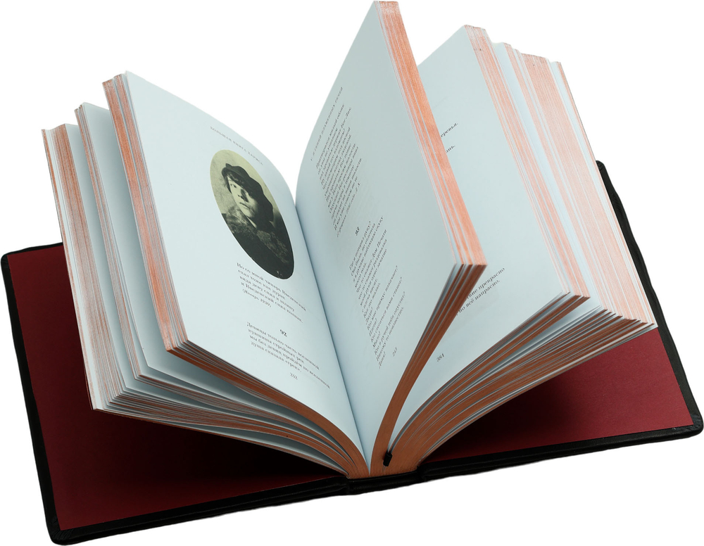 Большая книга Хармса