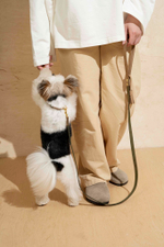 Поводок "Пони-гулёни" Зеленый и бежевый