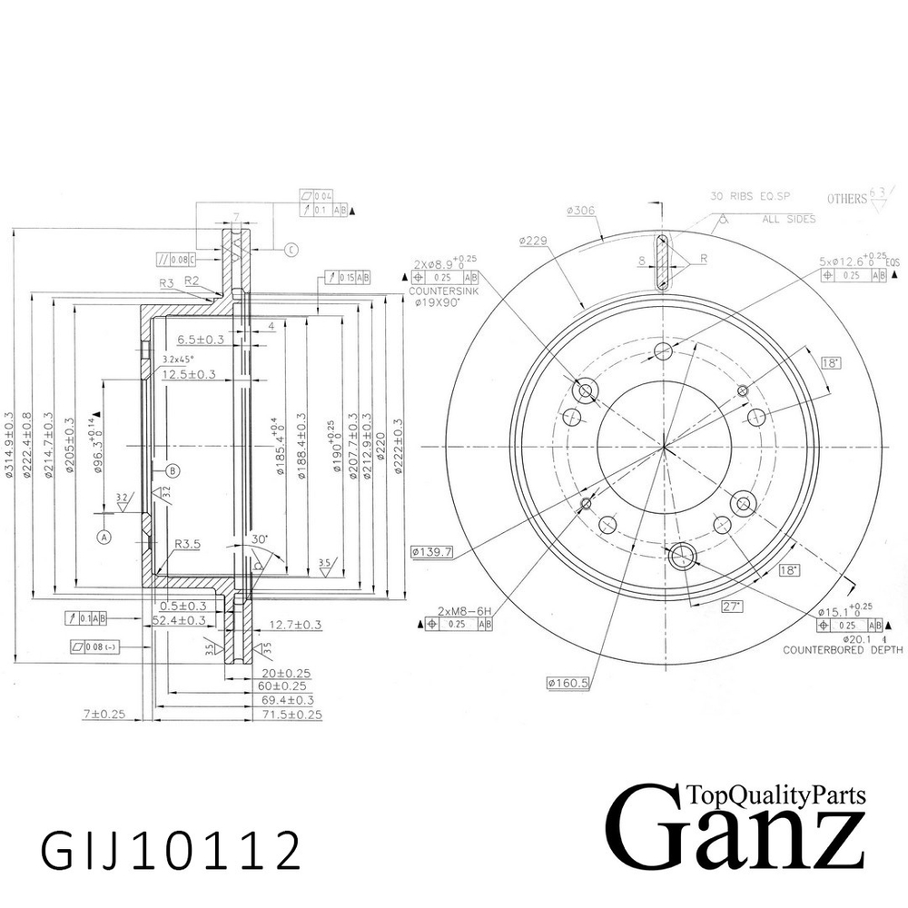 Диск тормозной задний с покрытием KIA Sorento II /Vent D=315mm GANZ GIJ10112
