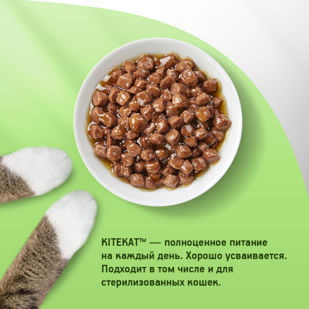 Говядина в соусе, 85г влажный корм для кошек KiteKat