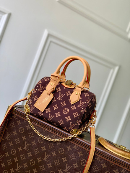 Louis Vuitton Speedy Trunk 20