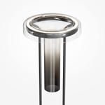 Напольный светильник (торшер) Maytoni MOD463FL-L24B3K