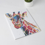 5243190 Папка для семейных документов, 4 комплекта, цвет белый