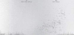 Альбом BABYMONSTER - BABYMONS7ER 1st Mini Album YG TAG ALBUM RANDOM Version