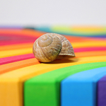 Деревянный конструктор "Четыре стихии большой", поддон, 23 детали