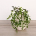 Искусственные цветы «Волшебство трав» 38см Аспарагус зеленый