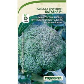 КАПУСТА БРОККОЛИ
