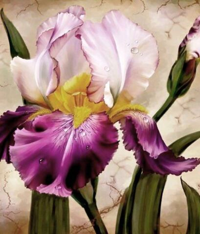 Алмаз.мозаика 38*28см (сверкающ) Ирис