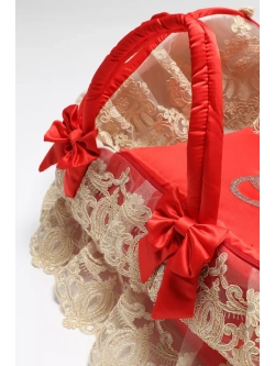 Комплект на выписку с переноской