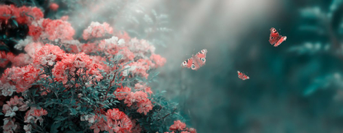 Дизайнерские №176 Фотообои и Фрески ручной работы