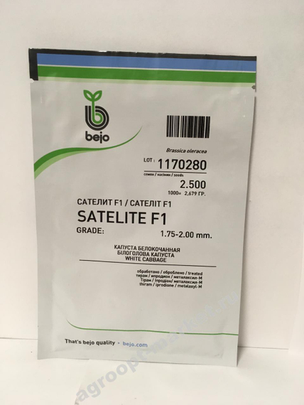 Сателит F1 семена капусты белокочанной (Bejo / Бейо) упаковка 2500 штук – фото 2