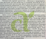 Флокс Друммонда Красотка в малиновом 0,1 г СМЦ-285