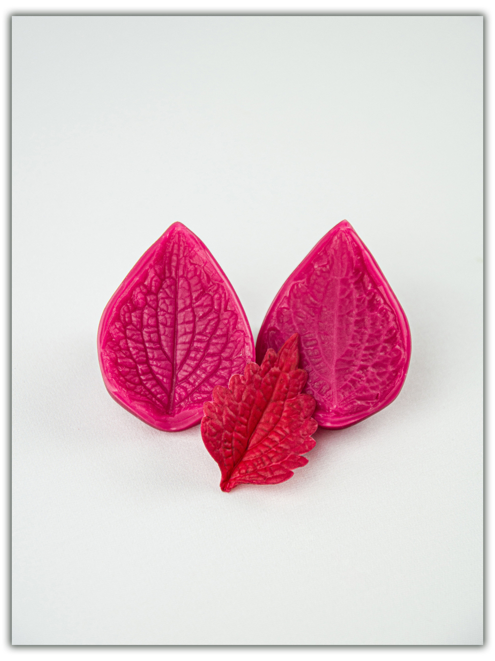 Колеус. Сорт 1