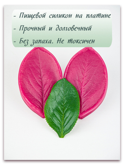 Лист аронии малый (черноплодная рябина)