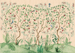 Коллекция Chinoiserie