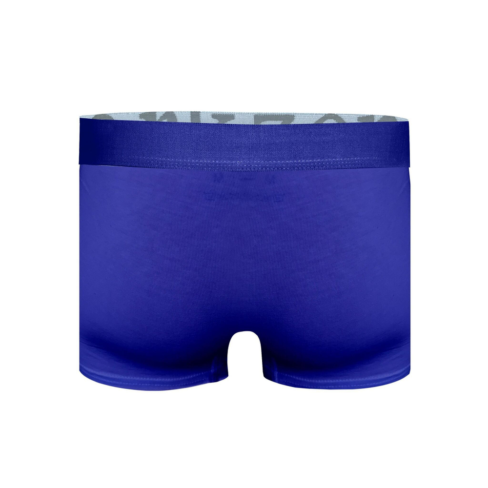Синие хлопковые трусы-боксеры с надписью на резинке крупными буквами (Размер: S) (Цвет: синий)