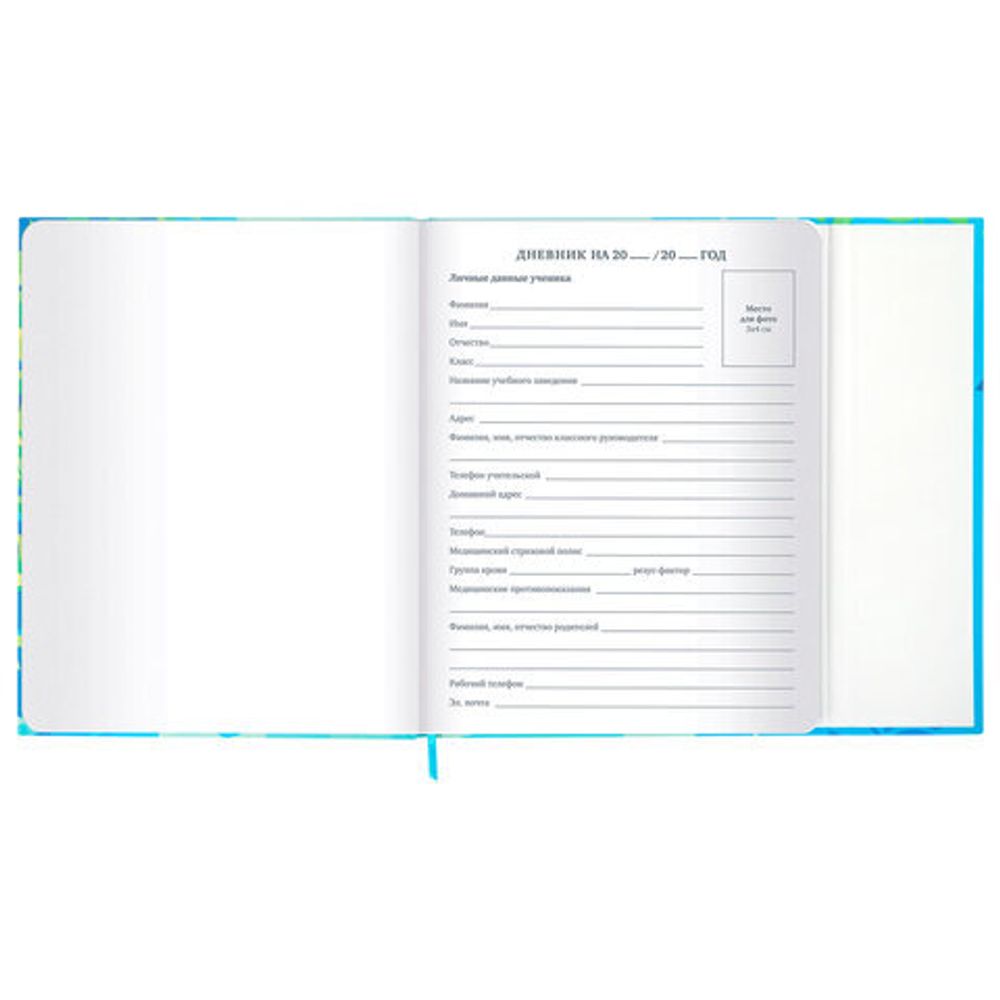 Дневник 1-11 класс 48 л., твердый, BRAUBERG, матовая ламинация, магнитный клапан, закладка-ляссе, с подсказом, "Котик", 107244