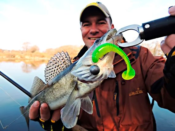 Виброхвосты съедобные LJ Pro Series TIOGA FAT 3.9in (10 см), цв. T18, 5 шт.