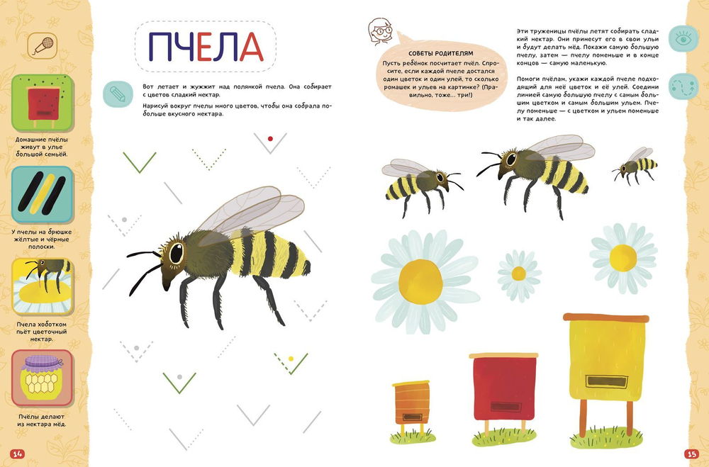 Компакт-технологии для одарённых малышей. Насекомые
