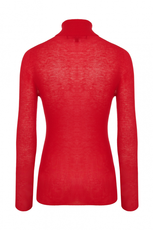 Водолазка Male