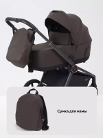 Коляска 2 в 1 Rant Flex Soft Therm