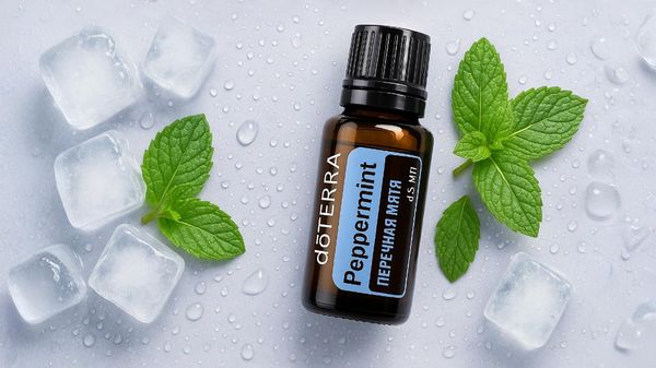 5 СПАСИТЕЛЬНЫХ СПОСОБОВ ПЕРЕЖИТЬ ЗНОЙ: ОТ ВЕНТИЛЯТОРА ДО ЭФИРНОГО МАСЛА