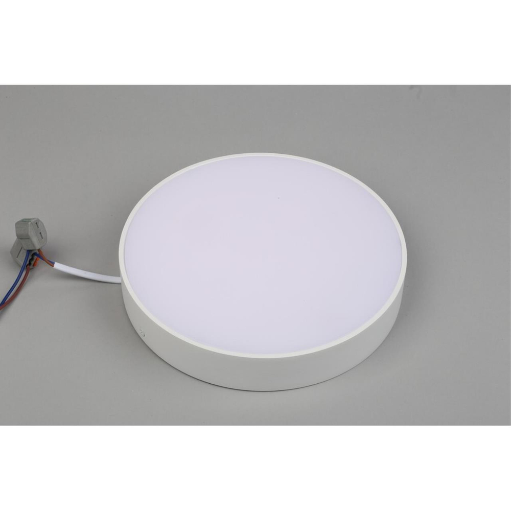 Потолочный светодиодный светильник Aployt Evon APL.0113.09.24