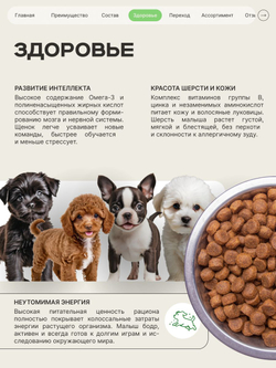 Корм сухой для щенков породы Мопс, премиум полнорационный комплекс, с ягненком, 2,5 кг, QUATTRO