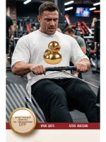 Термонаклейка на одежду, термопринт Утка золото