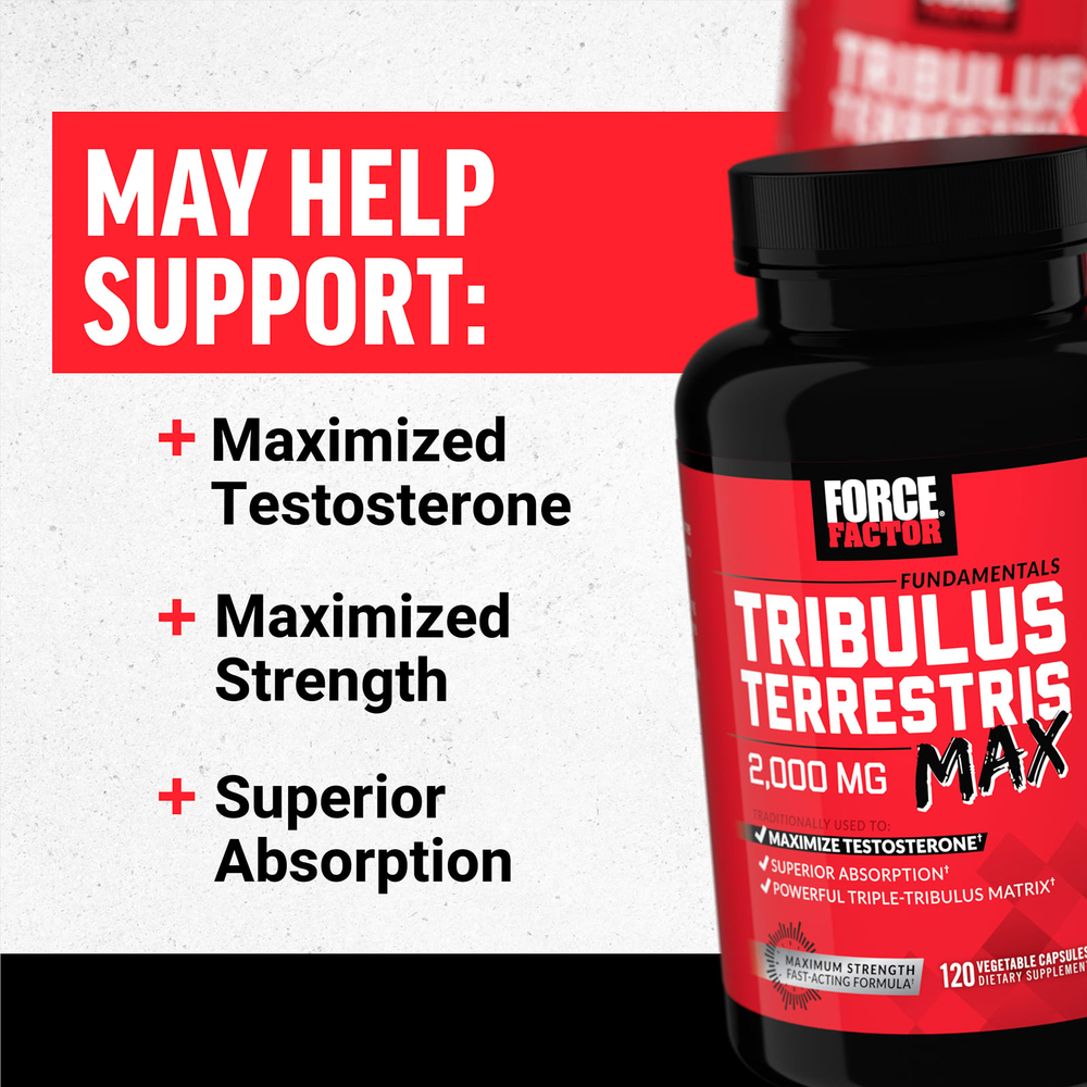 Force Factor, Fundamentals, якорцы стелющиеся (Tribulus terrestris Max), 120 вегетарианских капсул