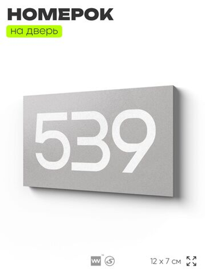Номер на дверь 539, табличка на дверь для офиса, квартиры, кабинета, аудитории, склада, серая 120х70 мм, Айдентика Технолоджи