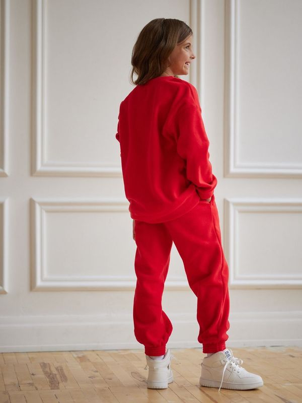 Джоггеры 4920