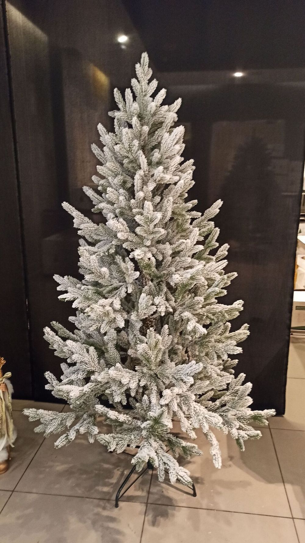 Ель Заснеженная «Нордман» (Литая хвоя) 240 см / 2,4 м