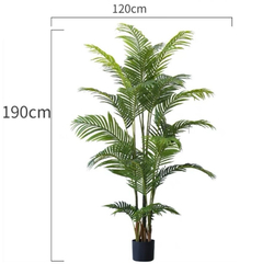 Пальма Дипсис 190 см.