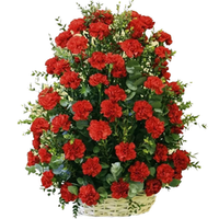 Большая корзина из живых цветов «100 гвоздик»