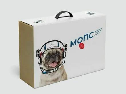 Инженерный конструктор «МОПС» (Мобильная Приёмная Станция)