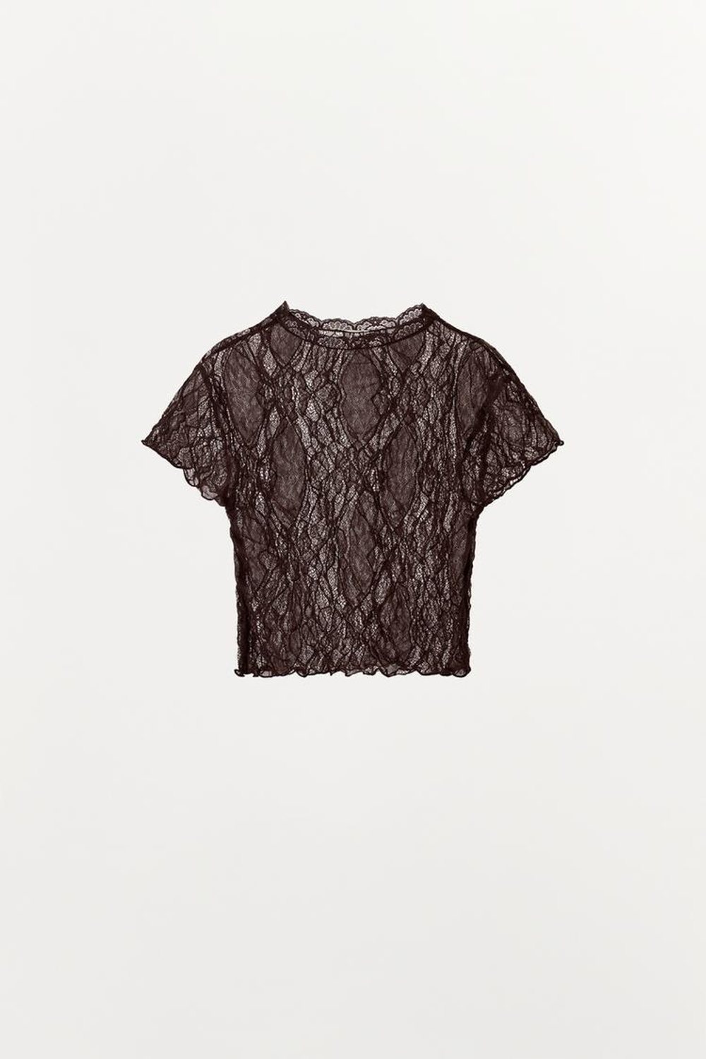 ZARA КРУЖЕВНОЙ КРОП-ТОП, ТЕМНО-КОРИЧНЕВЫЙ