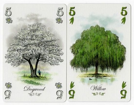 Настольная игра Арборетум