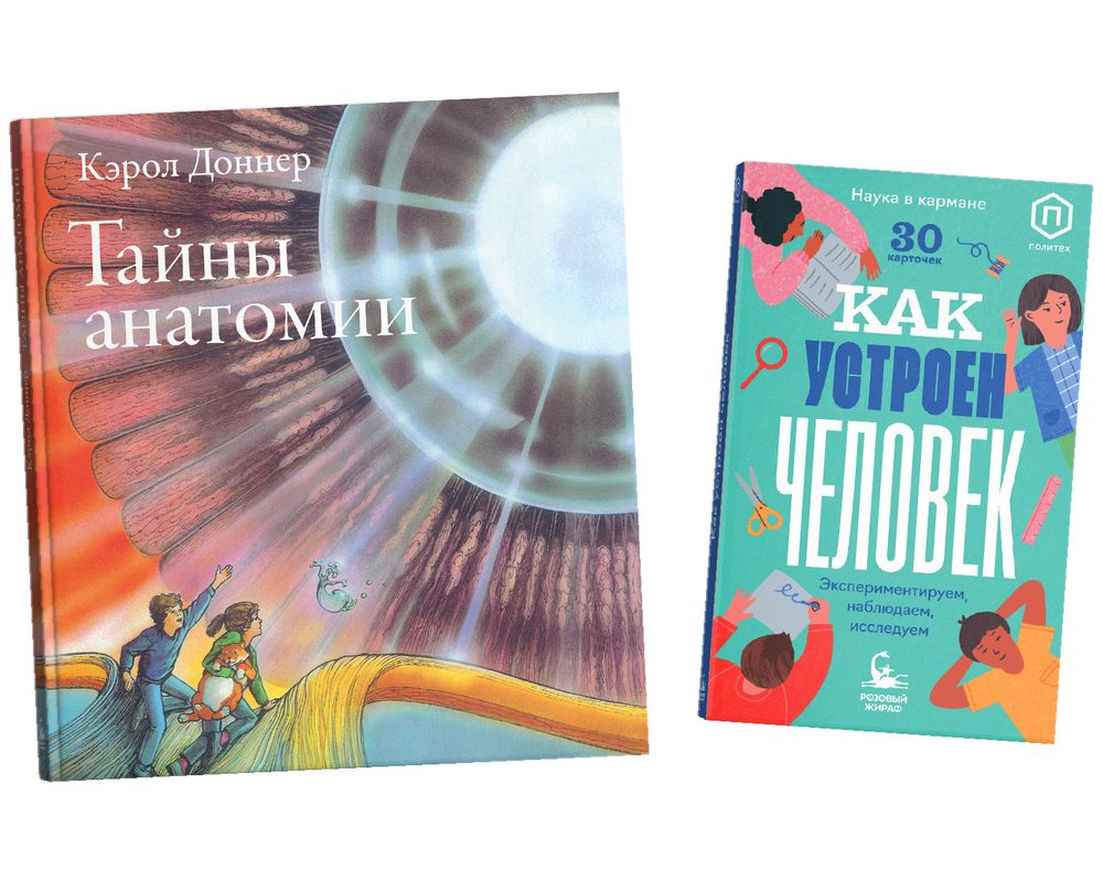 Как устроен человек?