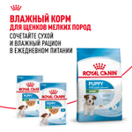 Royal Canin Mini Puppy Мини Паппи Корм сухой для щенков мелких пород в возрасте до 10 месяцев 4кг