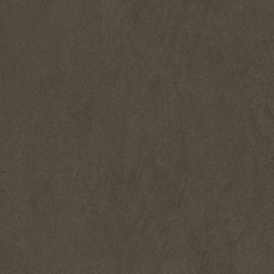 Sandstone Brown PRO Керамогранит коричневый 60х60 матовый R10GR