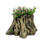 Пень коряга