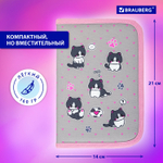Пенал BRAUBERG 1 отделение полиэстер 21х14 см "Cat patches" (2 штуки в упаковке)